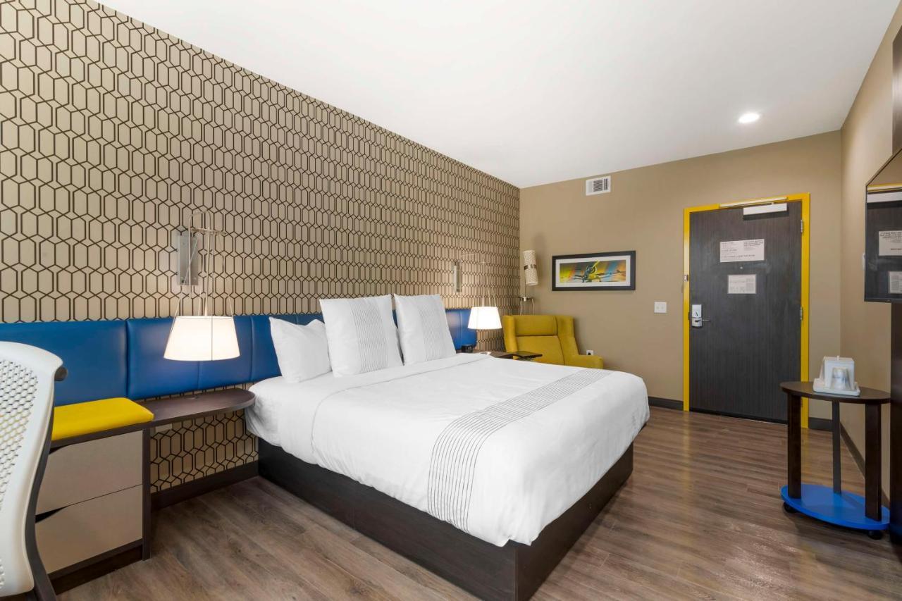 King Room Disability Access