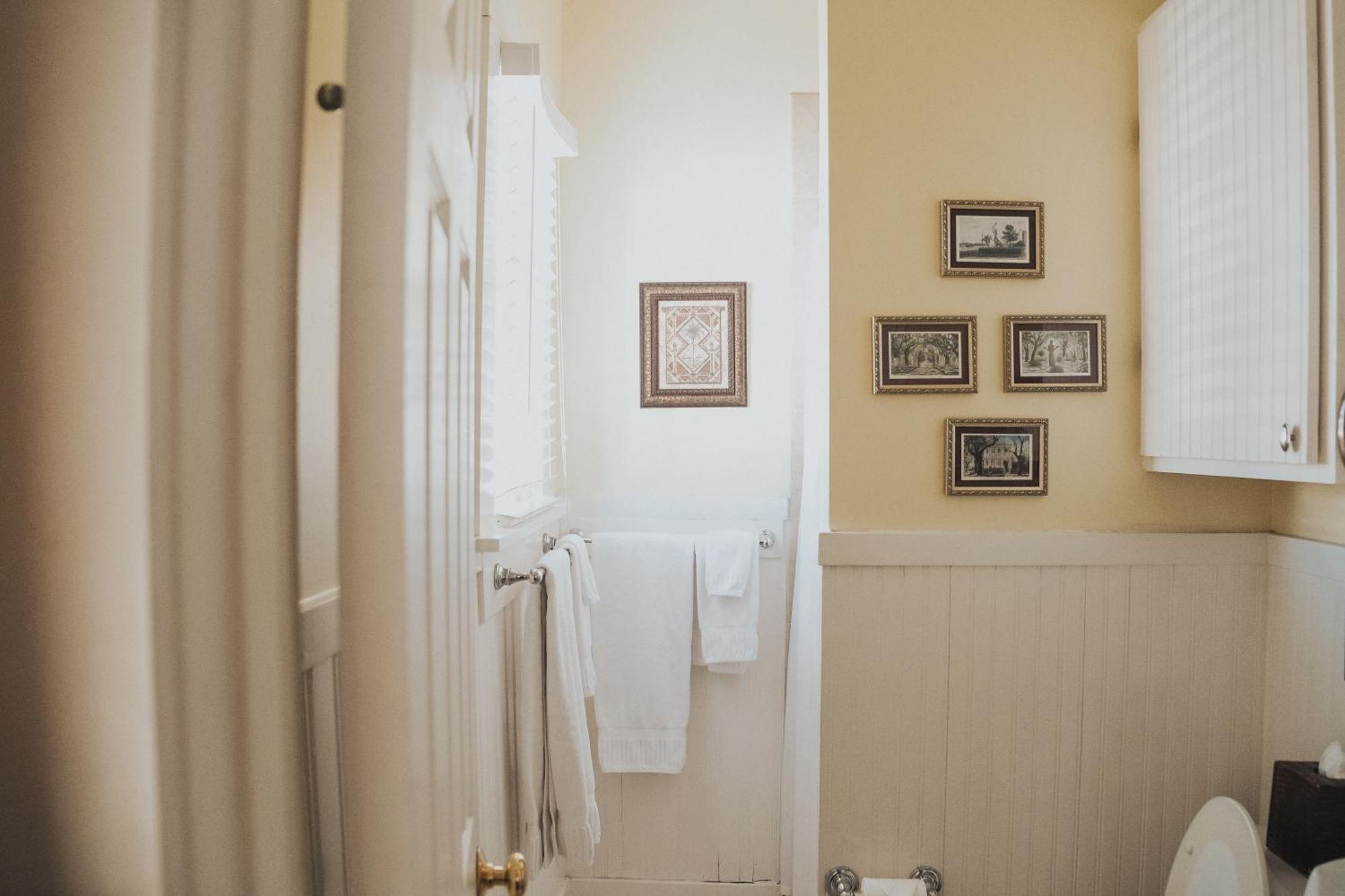 Palmetto Palm Suite