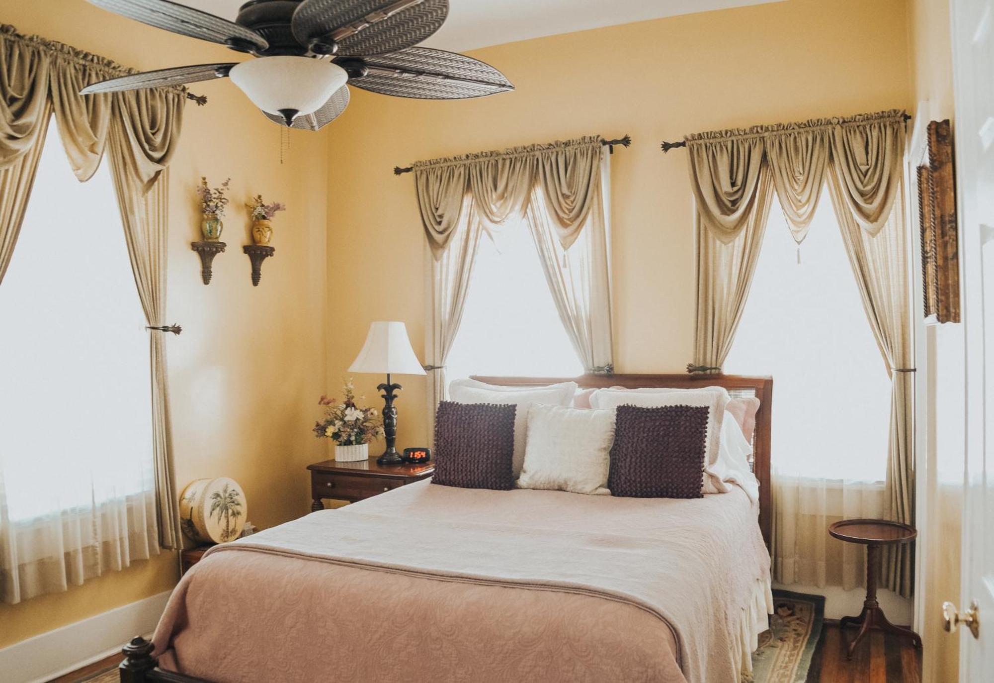 Palmetto Palm Suite