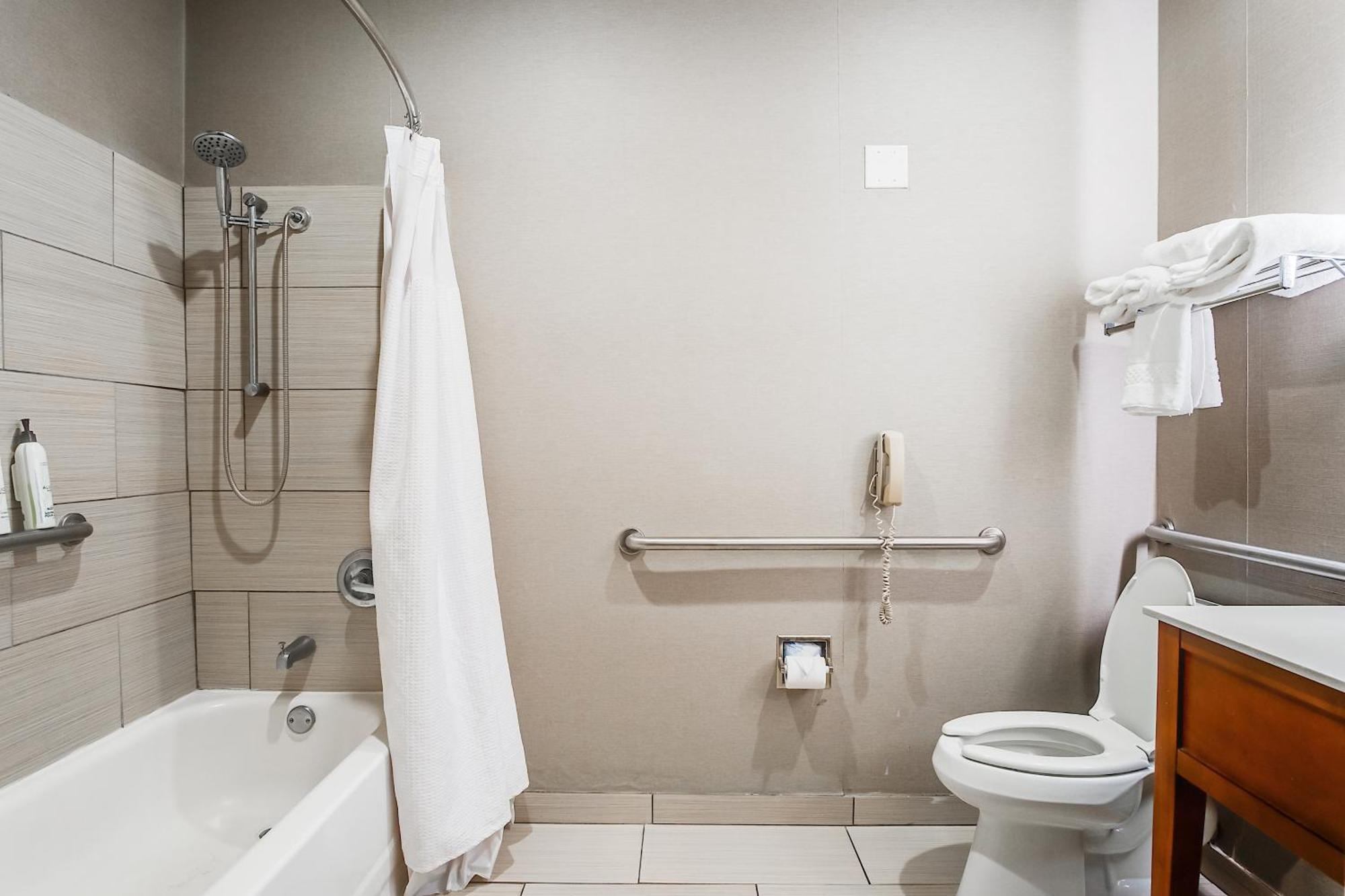 King Suite Roll Shower Disability Access or Non Smoking