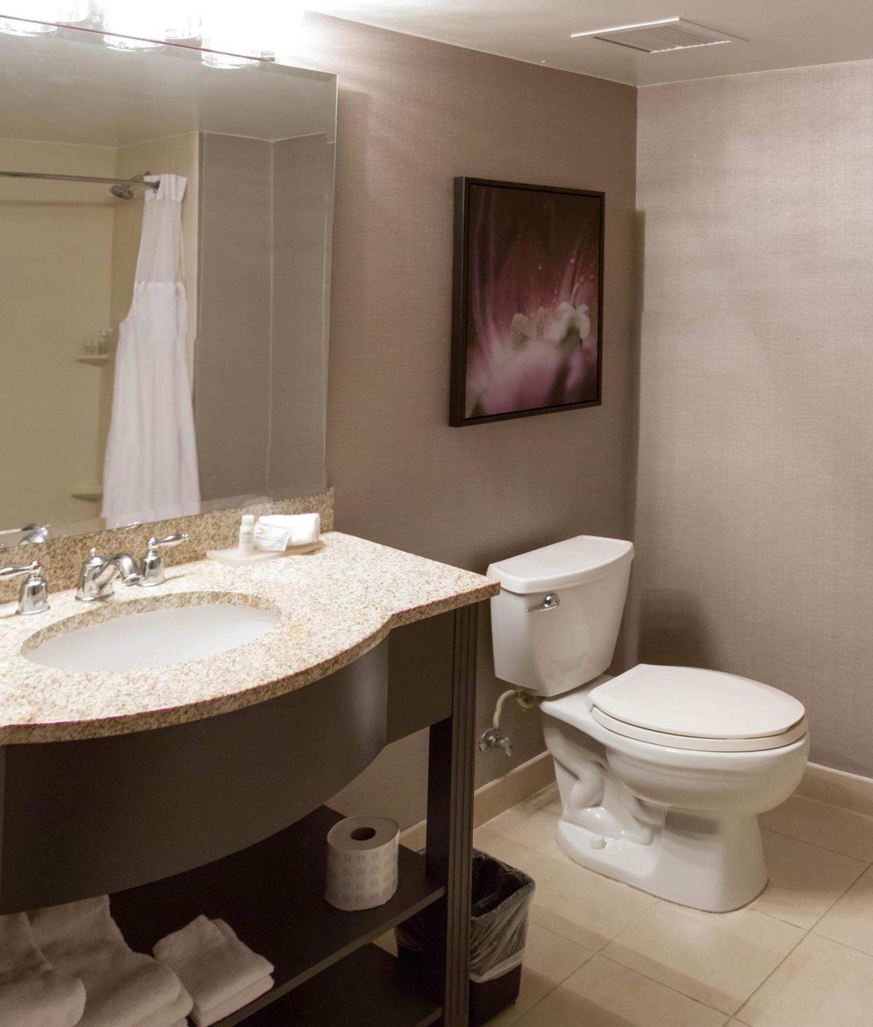 King Suite Mobility Access or Non-Smoking