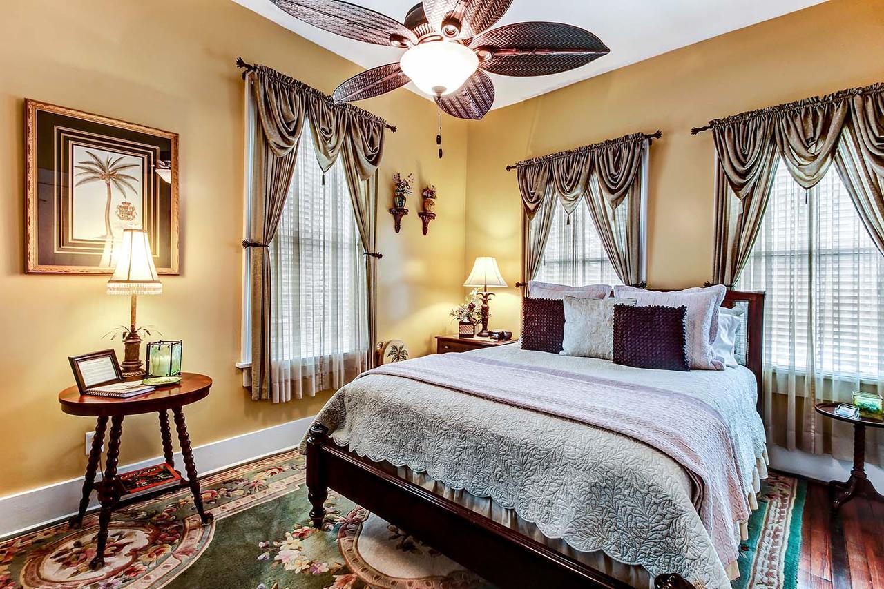 Palmetto Palm Suite
