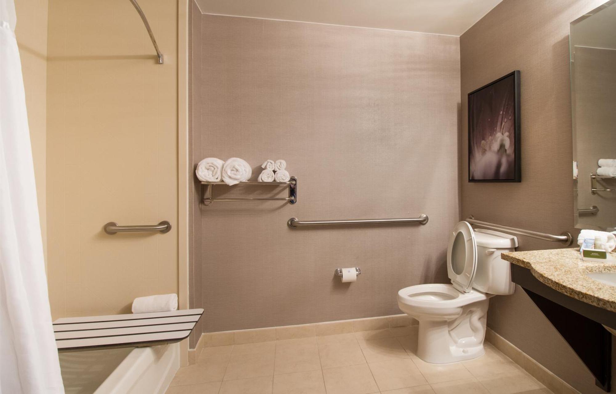 King Suite Mobility Access or Non-Smoking